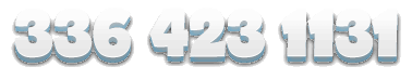 336 423 1131